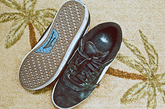 Skateboard Shoe 2 Lakai Skate Shoes
