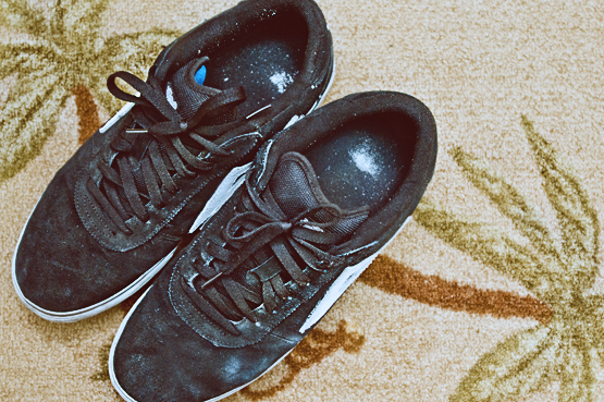 Skateboard Shoe 3 Lakai Skate Shoes