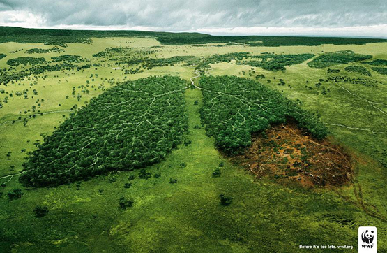 Responses To The Most Powerful Social Issue Ads That’ll Make You Stop And Think public interest public awareness ads 25 Responses To The Most Powerful Social Issue Ads That’ll Make You Stop And Think