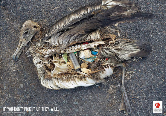 Responses To The Most Powerful Social Issue Ads That’ll Make You Stop And Think public interest public awareness ads 4 Responses To The Most Powerful Social Issue Ads That’ll Make You Stop And Think