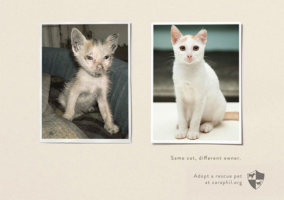 Responses To The Most Powerful Social Issue Ads That’ll Make You Stop And Think public interest public awareness ads 50 1 Responses To The Most Powerful Social Issue Ads That’ll Make You Stop And Think