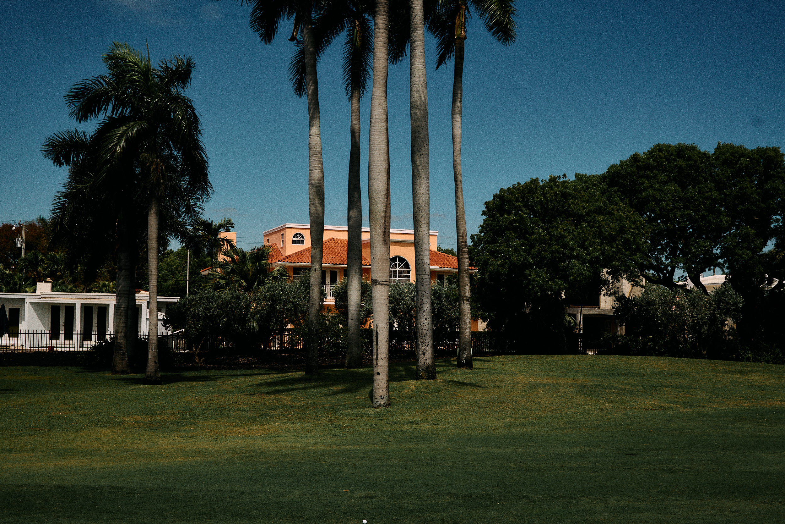 candid moment between shots on the golf course of royal palm trees during a round in Miami Beach.