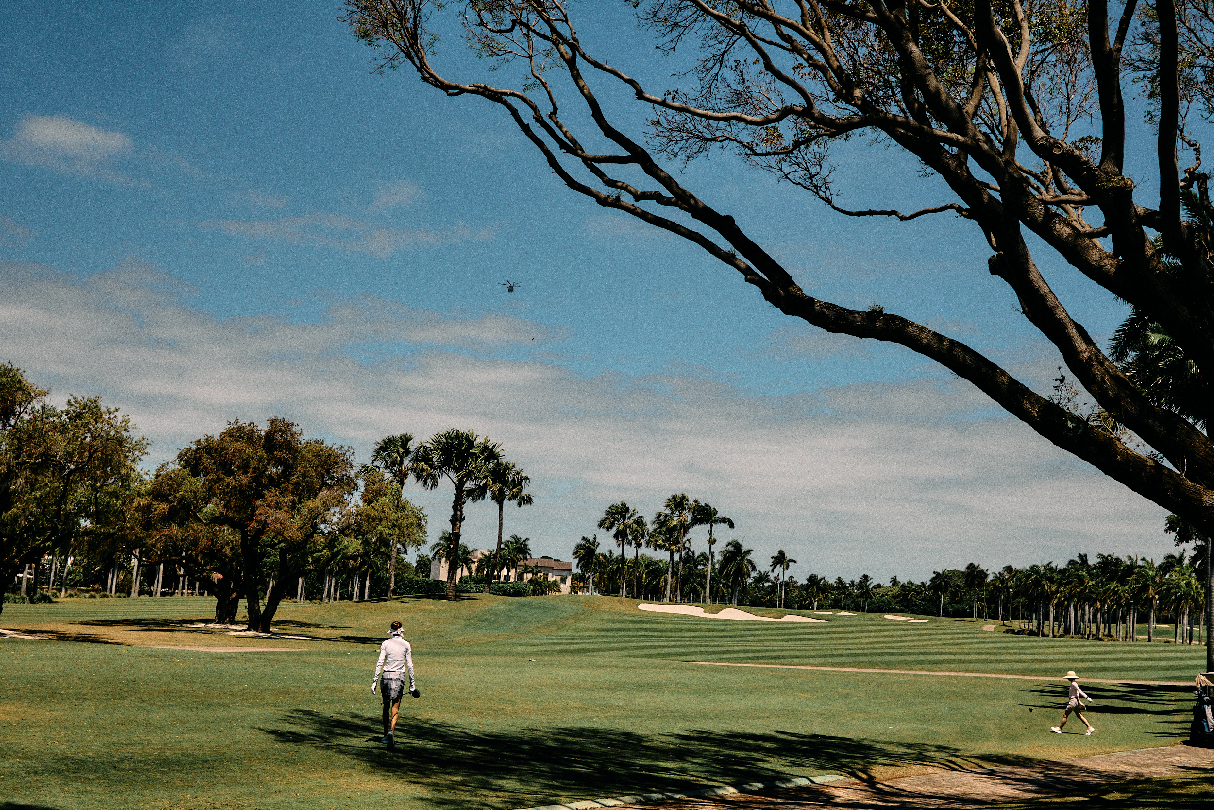 Golf course scene in soft day light during a lifestyle session.